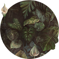 Calla – Standard Circle Wallpaper