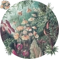 Fairytale – Standard Circle Wallpaper