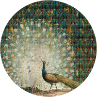 pattern_file