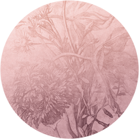 pattern_file