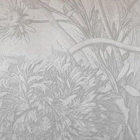 Grey Ombre Flower – Standard Bow Wallpaper