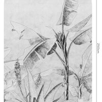 Rainforest Sketch – Standard Bow Wallpaper