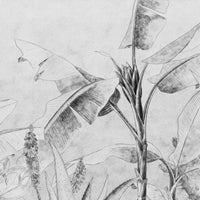 Rainforest Sketch – Standard Bow Wallpaper