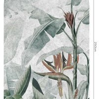 Rainforest – Tapeta Łuk Standard