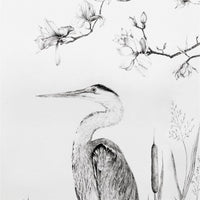 Heron – Standard Bow Wallpaper