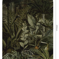 Madagascar – Standard Bow Wallpaper