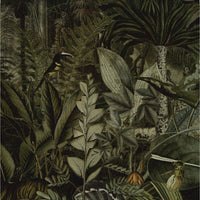 Madagascar – Standard Bow Wallpaper