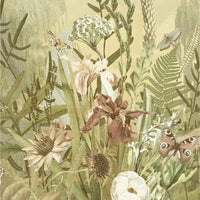 Bloom – Standard Bow Wallpaper