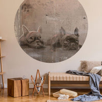 Siesta – Circle Standard Wallpaper