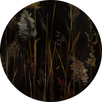 Calamus – Tapeta Koło Standard