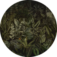 Madagascar – Standard Circle Wallpaper