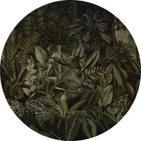 Madagascar – Standard Circle Wallpaper