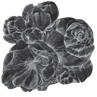 pattern_file