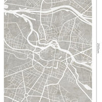 Breslau Grey – Tapeta Łuk Standard