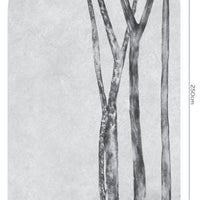 Betulla – Standard Bow Wallpaper