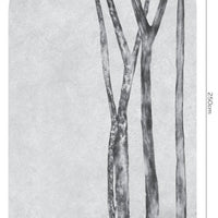 Betulla – Tapeta Łuk Standard