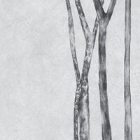 Betulla – Tapeta Łuk Standard