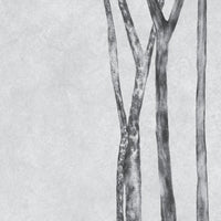 Betulla – Standard Bow Wallpaper