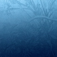 Blue Ombre Flower – Tapeta Łuk Standard