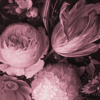 Boudoir Pink – Standard Bow Wallpaper