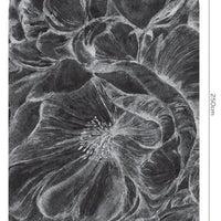 Brassica Dark – Tapeta Łuk Standard