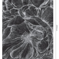Brassica Dark – Standard Bow Wallpaper