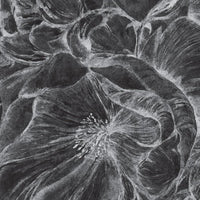 Brassica Dark – Standard Bow Wallpaper