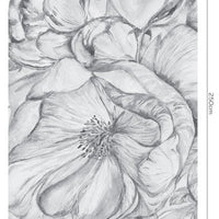 Brassica Light – Standard Arc Wallpaper