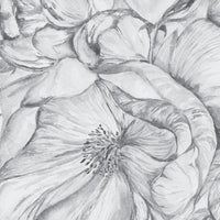 Brassica Light – Standard Arc Wallpaper