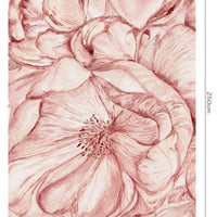 Brassica Pink – Standard Bow Wallpaper