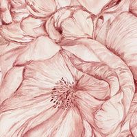 Brassica Pink – Standard Bow Wallpaper