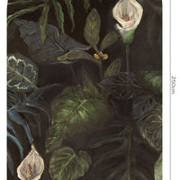 Calla – Standard Arch Wallpaper