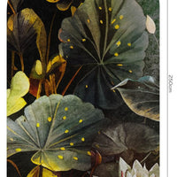 Clara – Standard Bow Wallpaper