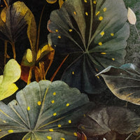 Clara – Standard Bow Wallpaper