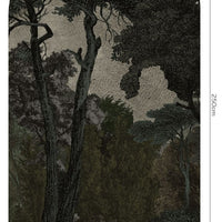 Hood Dark – Tapeta Łuk Standard