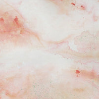 Coral – Standard Bow Wallpaper