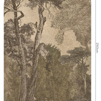 Hood Light – Standard Arc Wallpaper