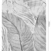 Demeter – Standard Bow Wallpaper