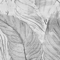 Demeter – Standard Bow Wallpaper