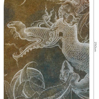 Draco – Standard Bow Wallpaper