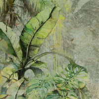 Silva – Standard Bow Wallpaper