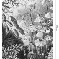Fairytale B&W – Bow Standard Wallpaper