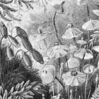 Fairytale B&W – Bow Standard Wallpaper