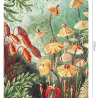 Fairytale Vivid – Standard Bow Wallpaper