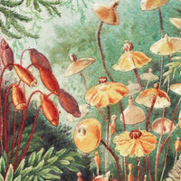 Fairytale Vivid – Standard Bow Wallpaper