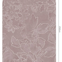 Felicity – Standard Bow Wallpaper