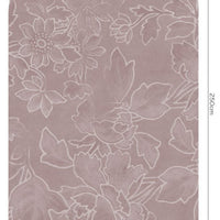 Felicity – Standard Bow Wallpaper