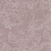 Felicity – Standard Bow Wallpaper