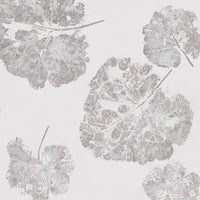 Foglia Dust – Standard Arc Wallpaper