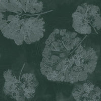 Foglia Sage – Standard Arch Wallpaper